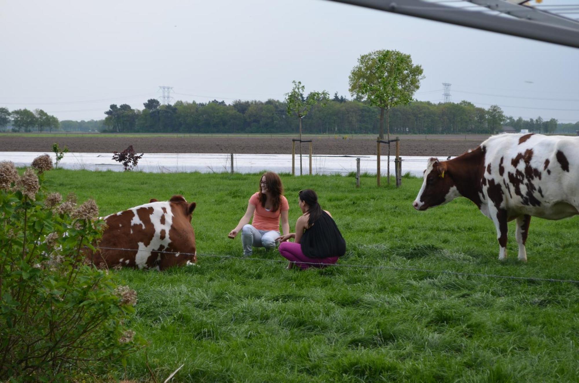 Erfgoed & Logies Den Heijkant Moergestel Bilik gambar